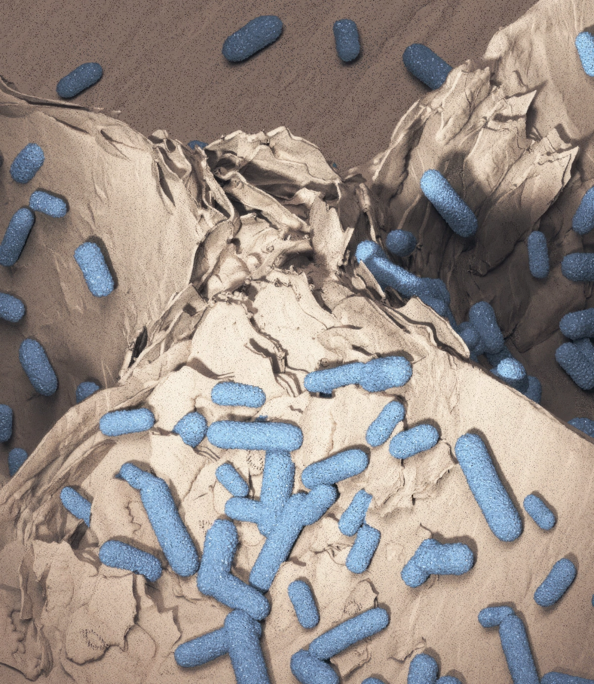 Ceramic Material Close Up with Bacteria