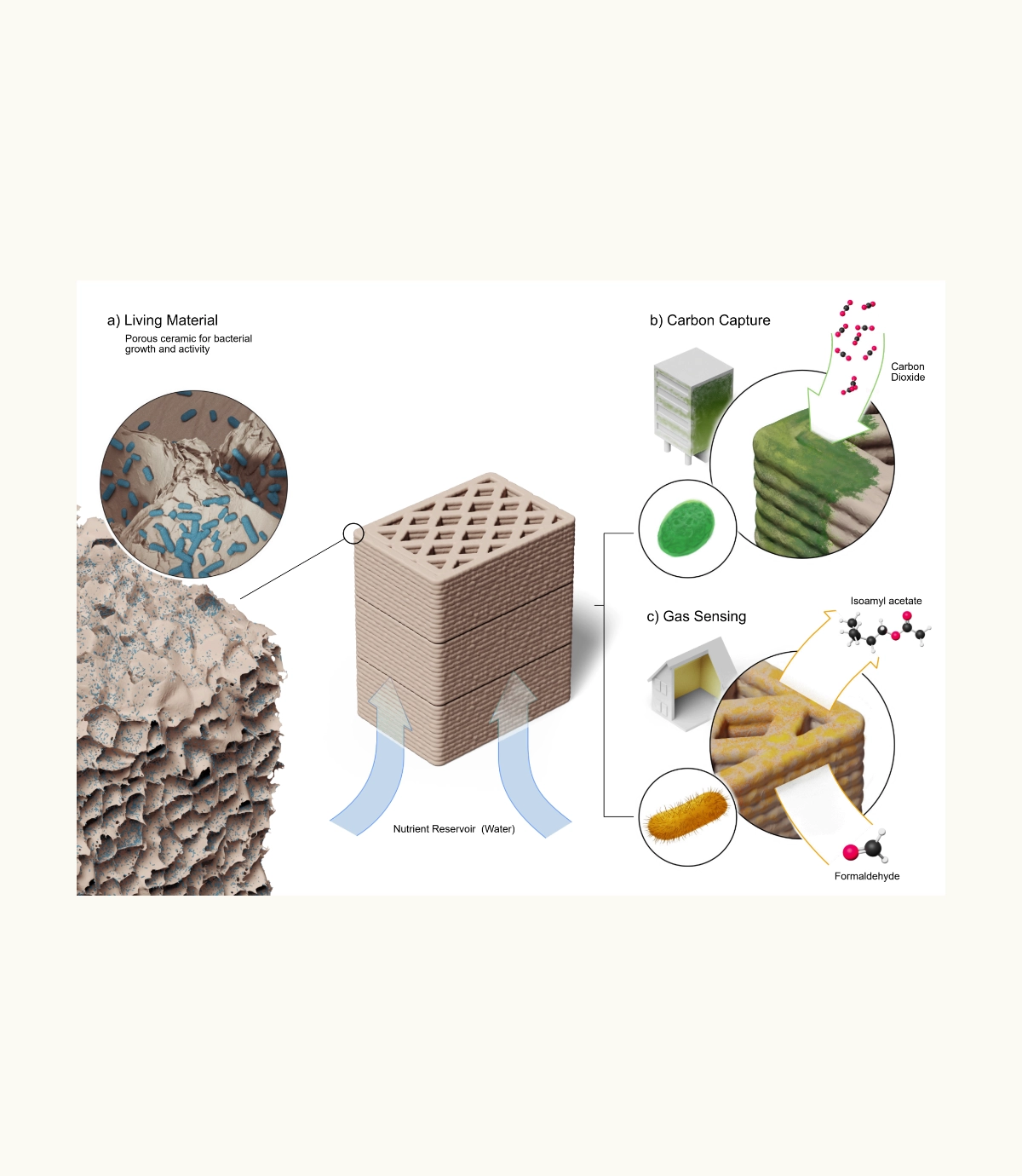 Living porous ceramics for bacteria-regulated gas sensing and carbon capture