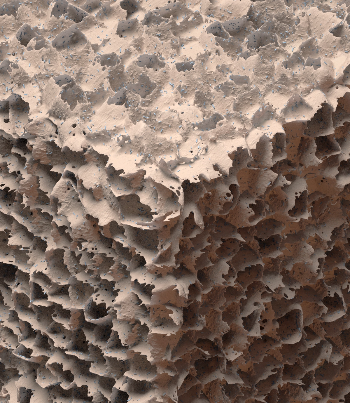 Porous Ceramic Material