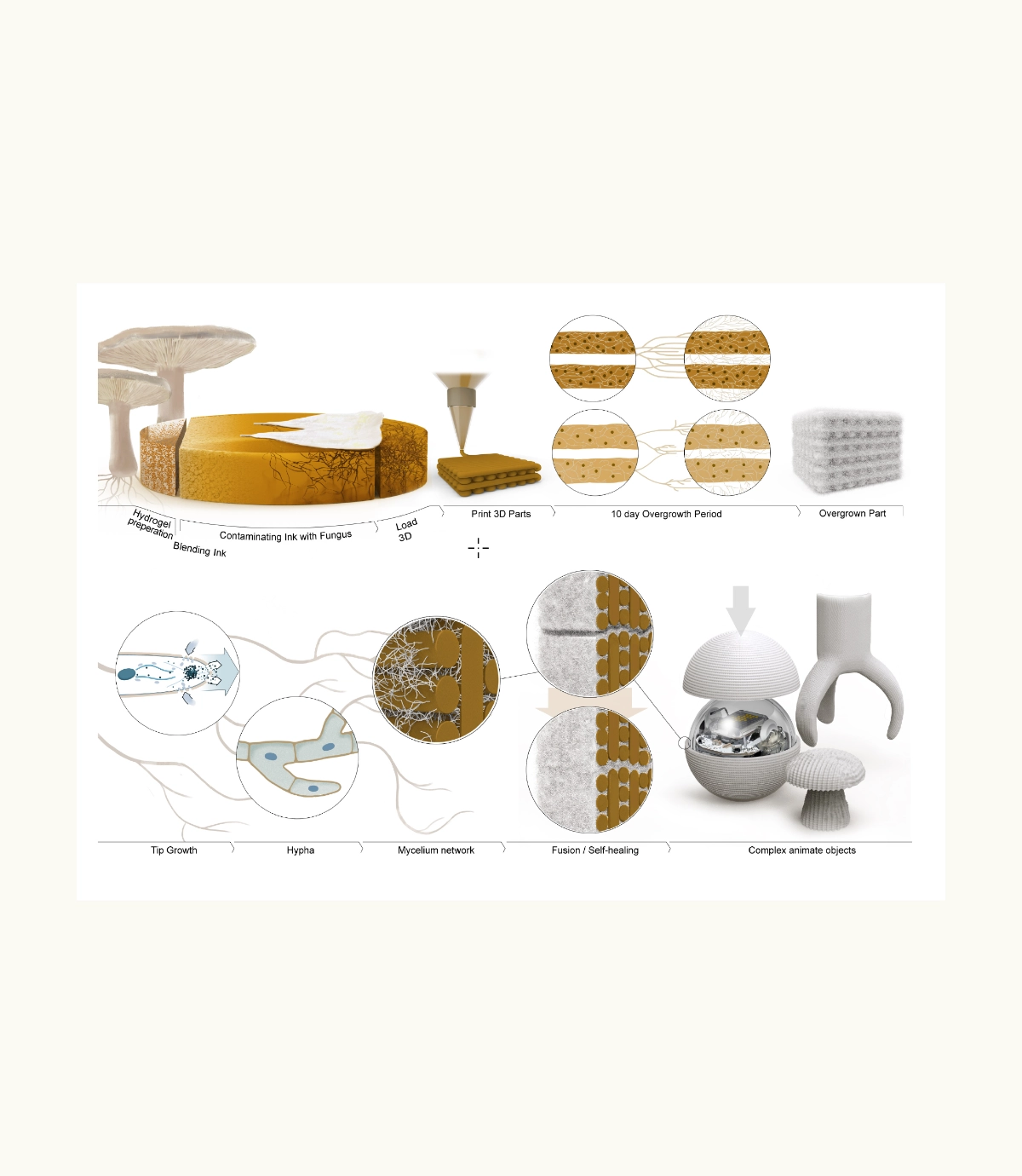 Three-dimensional printing of mycelium hydrogels into living complex materials
