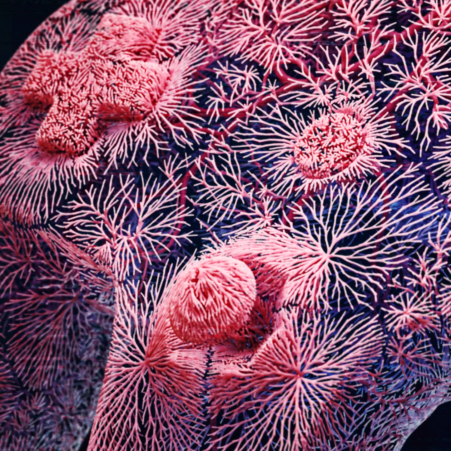 N64 Controller Close Up