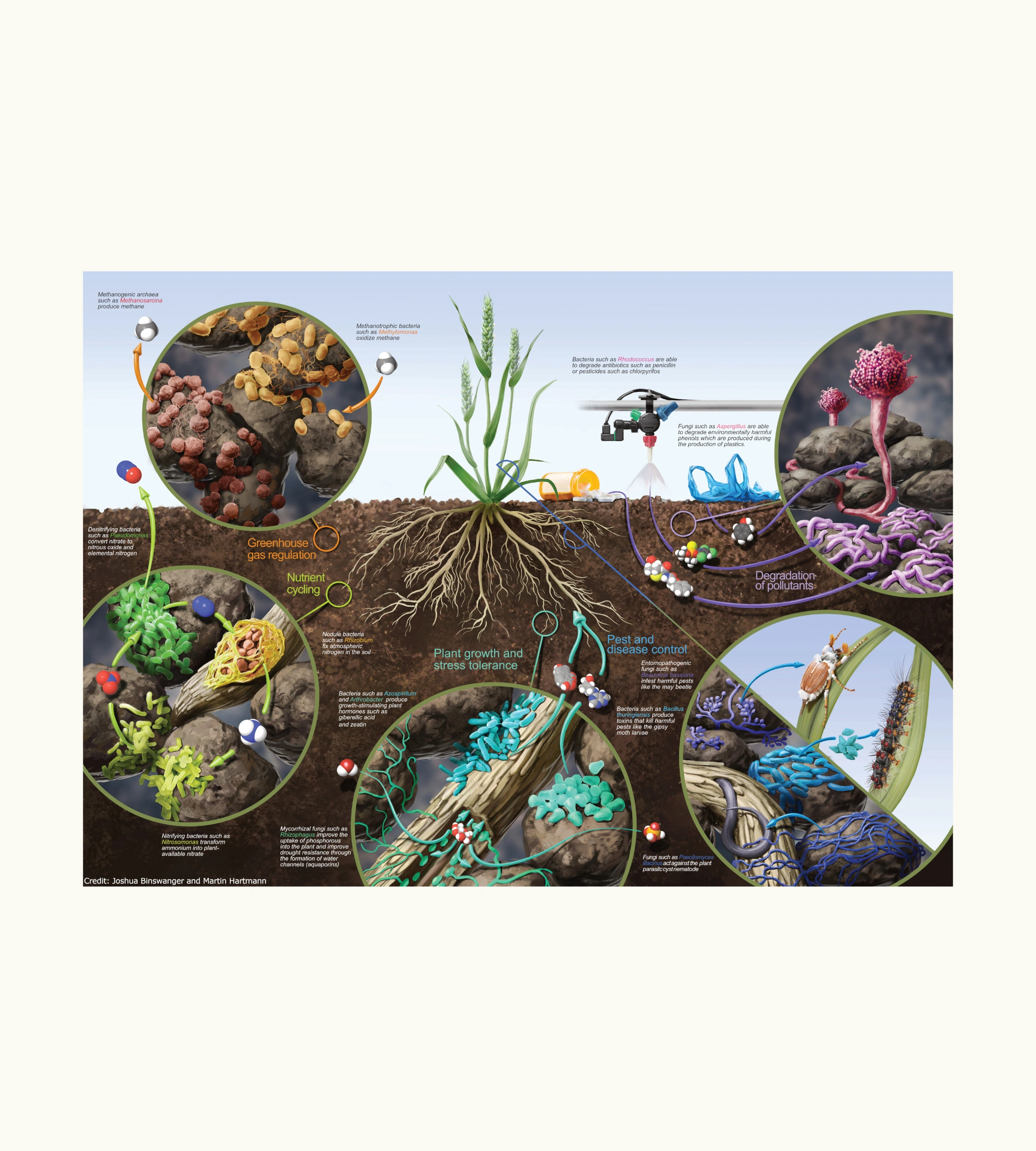 Microbiome: Engines of the Earth