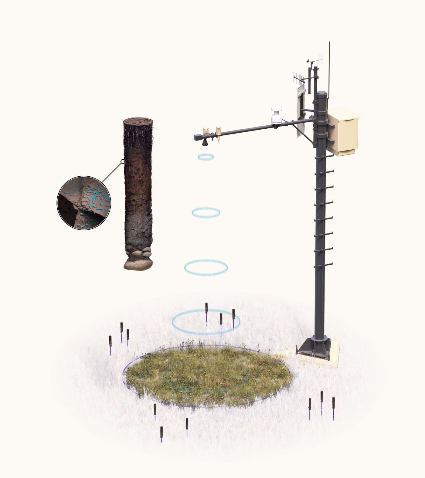 Ultrasonic Plant Height Masurement