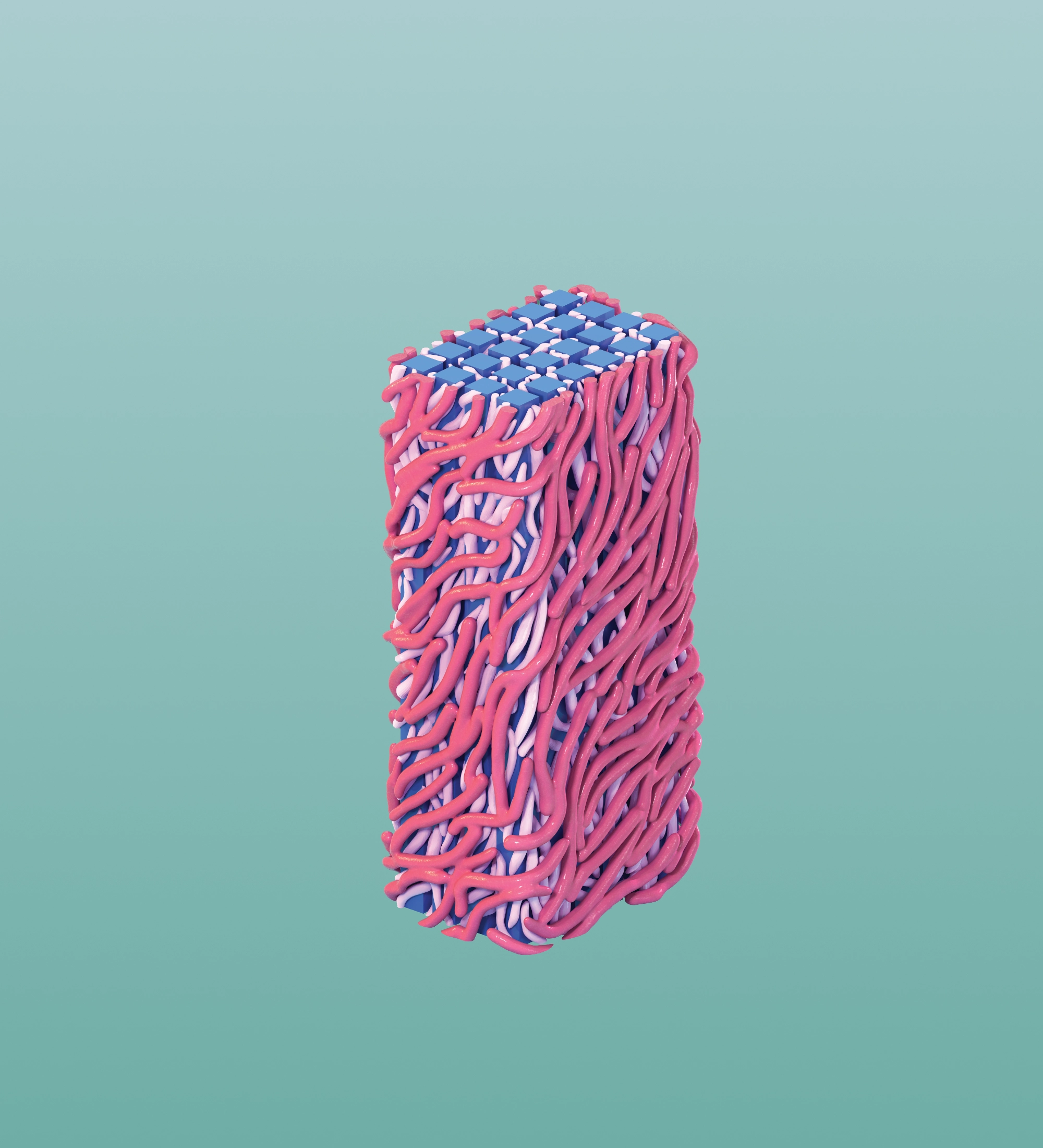Cellulose Microfibril: 15 nanometer