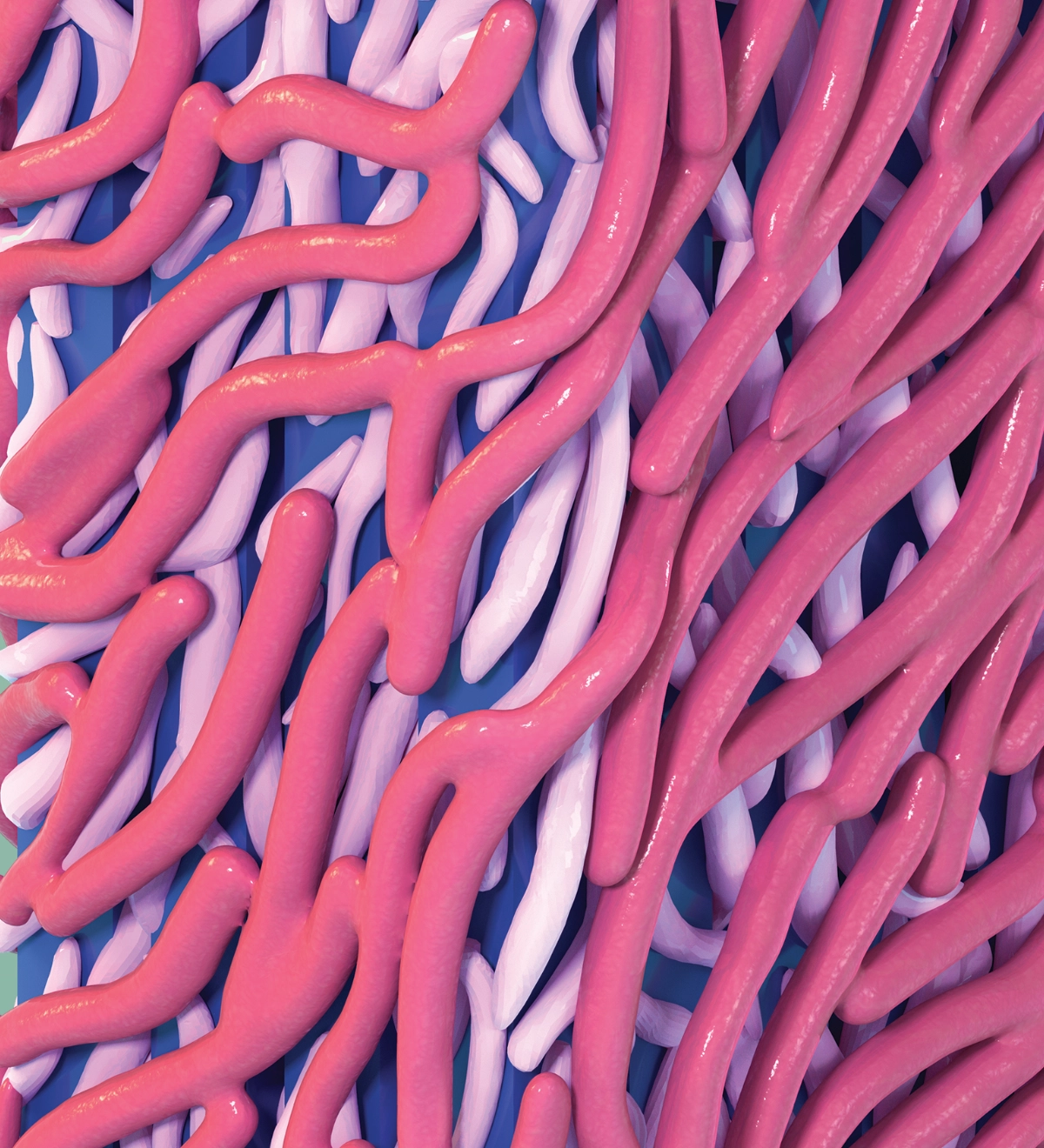 Cellulose Microfibril Close Up