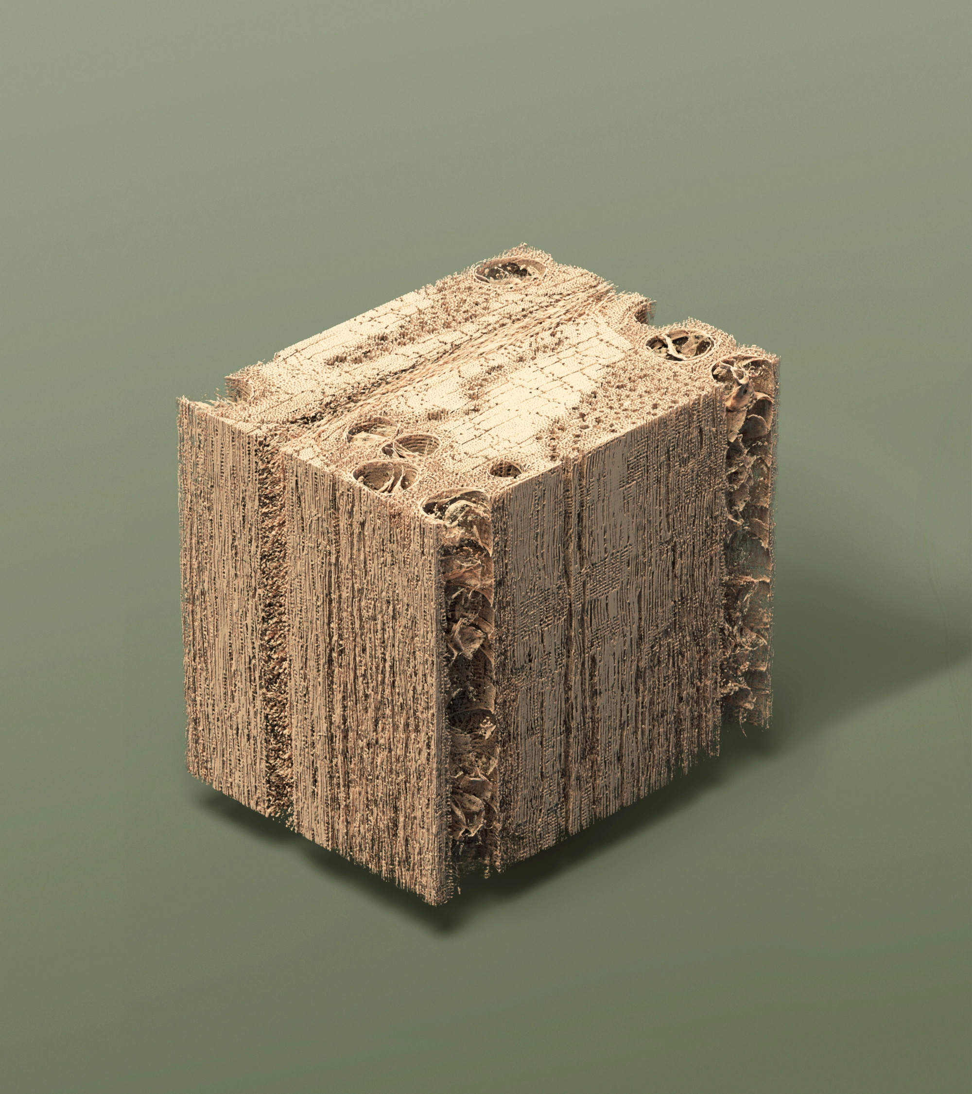 CT scan rendering of oak wood (Quercus robur) ~300 microns (0.3mm)