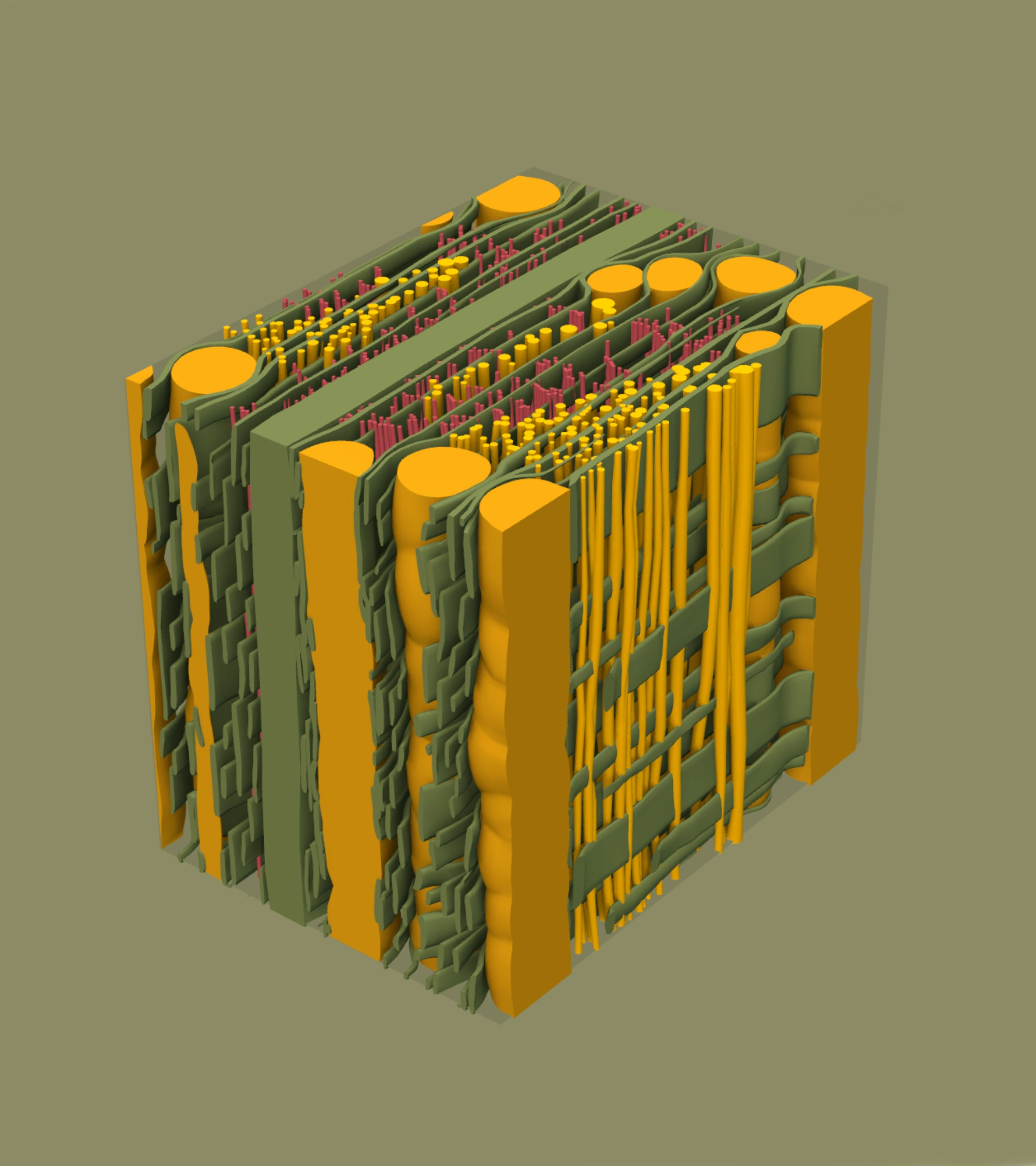 Xylopedia App on Ipad & Web