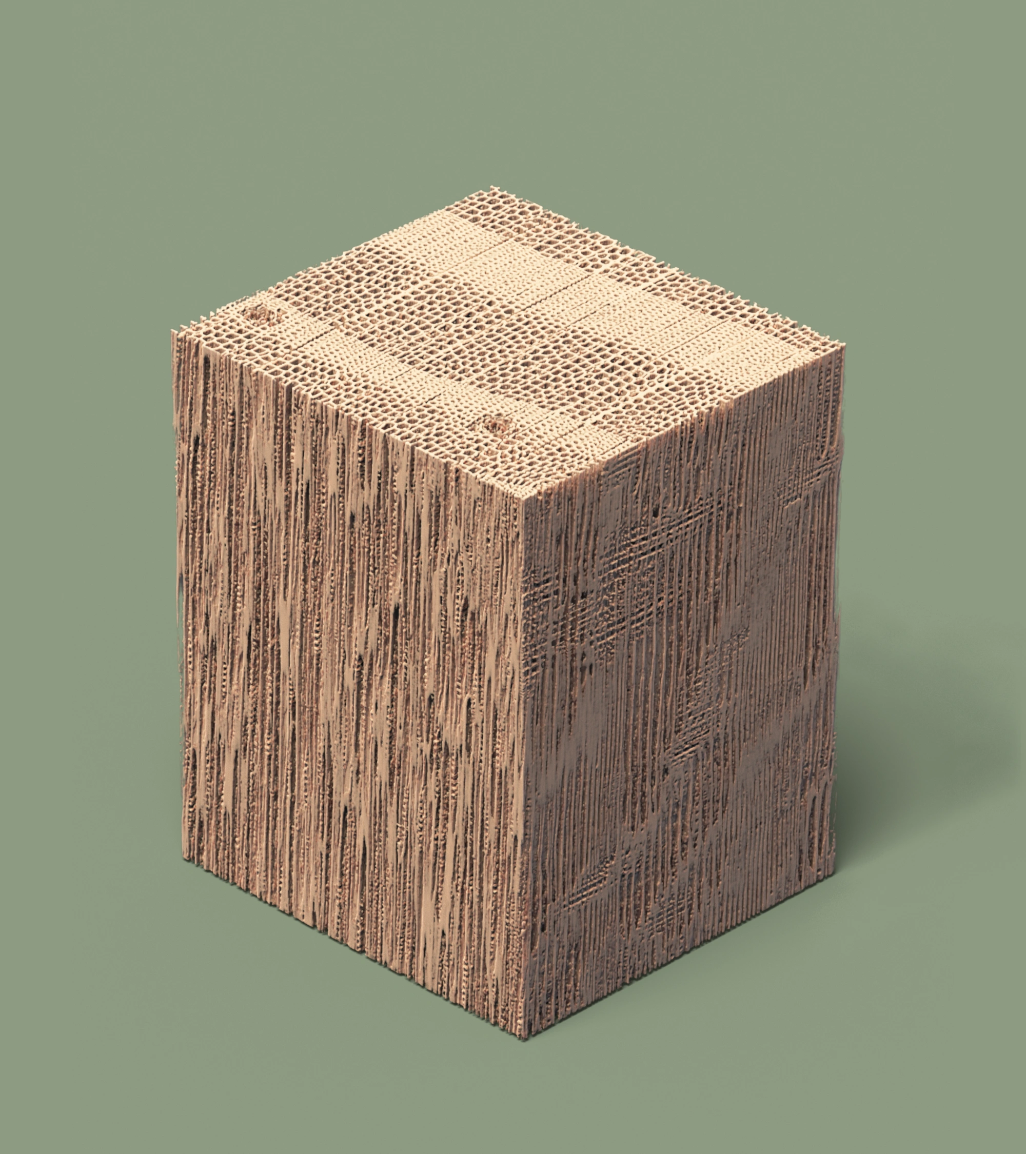 CT scan rendering of spruce wood (pinus sylvestris) ~300 microns (0.3mm)